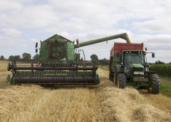 Crédito rural oferece oportunidade no agronegócio