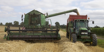 Crédito rural oferece oportunidade no agronegócio