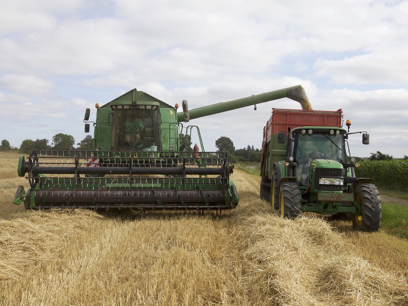 Crédito rural oferece oportunidade no agronegócio