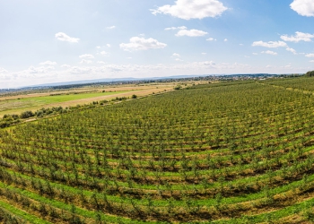 Agronegócio encerrou o ano com o dobro de fusões e aquisições