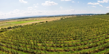 Agronegócio encerrou o ano com o dobro de fusões e aquisições