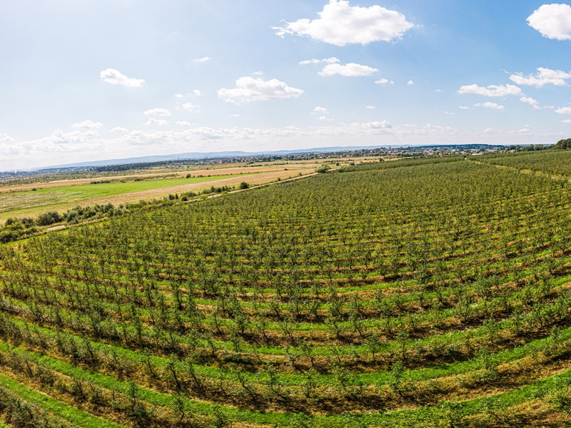 Agronegócio encerrou o ano com o dobro de fusões e aquisições