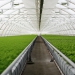Agricultura Irrigada