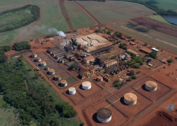 Tereos recebe prêmio de excelência no uso de variedades de cana