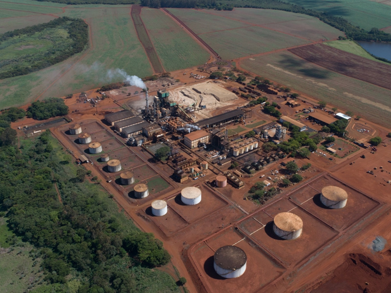 Tereos recebe prêmio de excelência no uso de variedades de cana