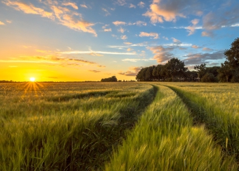 Sotreq Agro chega ao Tocantins amplia representação das marcas Valtra e FENDT