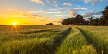 Sotreq Agro chega ao Tocantins amplia representação das marcas Valtra e FENDT