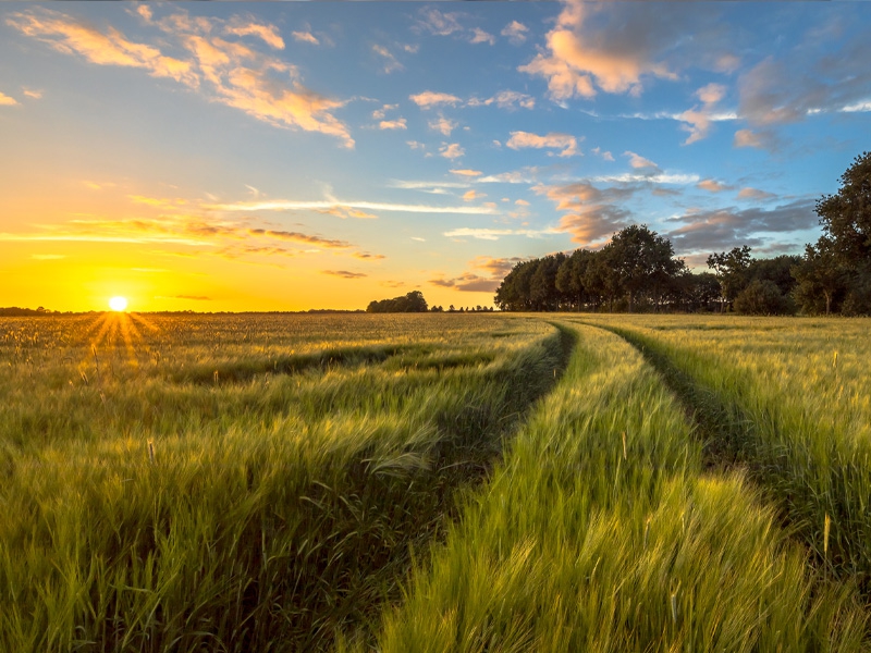 Sotreq Agro chega ao Tocantins amplia representação das marcas Valtra e FENDT