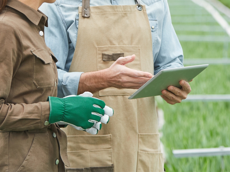 Supercampo, TOTVS e VTEX anunciam parceria para digitalização do agronegócio