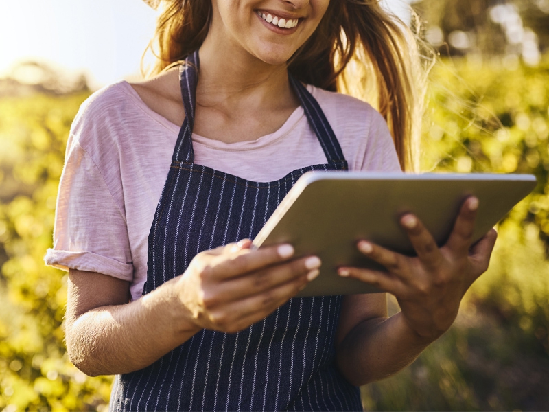 Socafé implanta o app MinhaSafra360 para automatizar e agilizar os processos de colheita