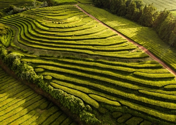 Tecnologia da Harvest Agro é destaque em publicação internacional