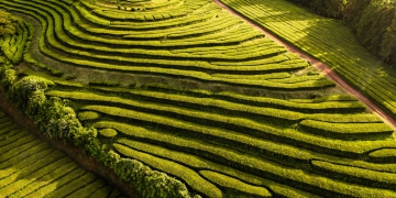 Tecnologia da Harvest Agro é destaque em publicação internacional