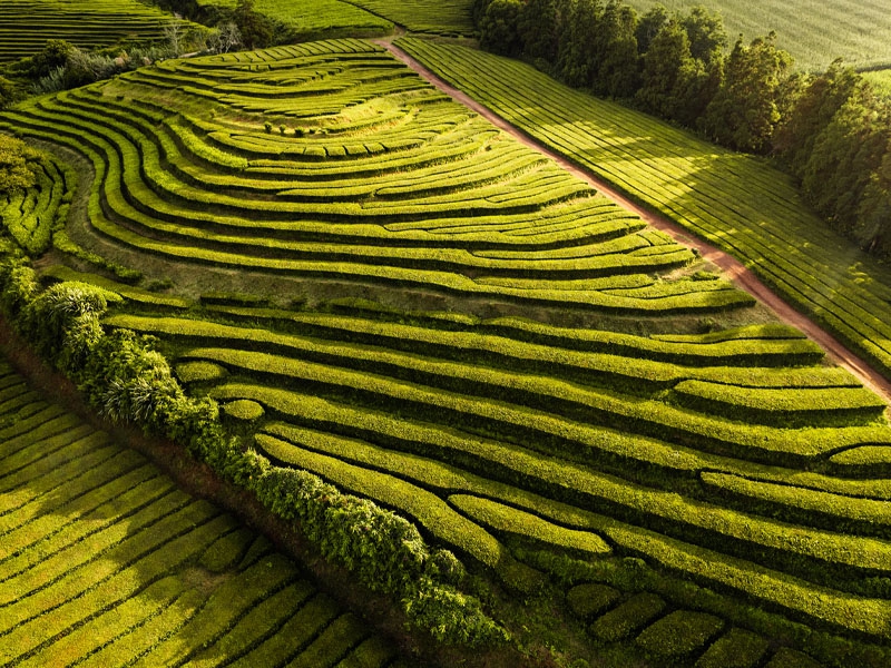 Tecnologia da Harvest Agro é destaque em publicação internacional
