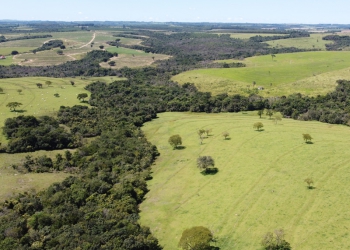 Aviagen anuncia investimentos de R$ 250 milhões em novo projeto de expansão no Brasil