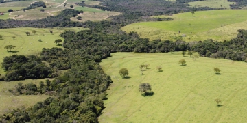 Aviagen anuncia investimentos de R$ 250 milhões em novo projeto de expansão no Brasil