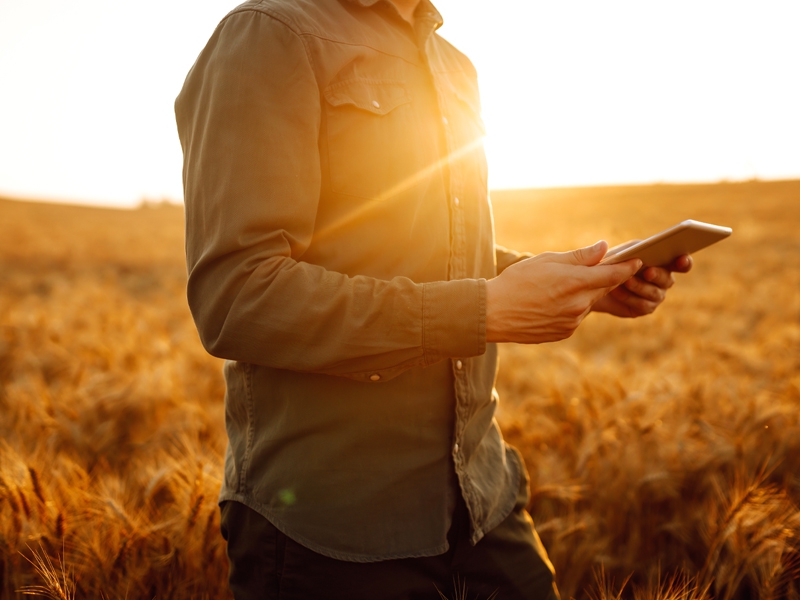 IA no agro: aliados pelo futuro do planeta