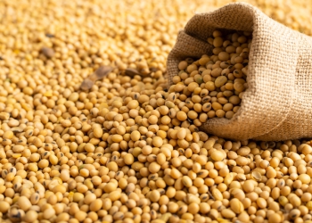 Com RTRS, agro sustentável atinge a marca de 6 milhões de toneladas de soja