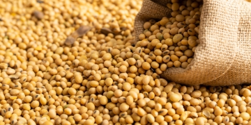 Com RTRS, agro sustentável atinge a marca de 6 milhões de toneladas de soja