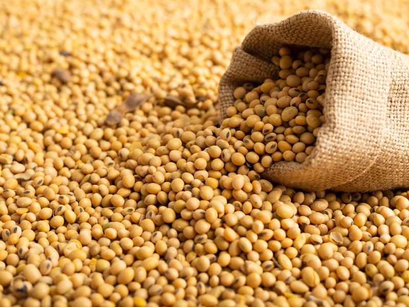 Com RTRS, agro sustentável atinge a marca de 6 milhões de toneladas de soja