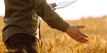 Tecnologia no Agronegócio: empresa cearense lança aplicativo para facilitar venda de grãos no Nordeste