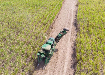 Cana-de-açúcar no Centro-Sul: produção mantém trajetória de crescimento