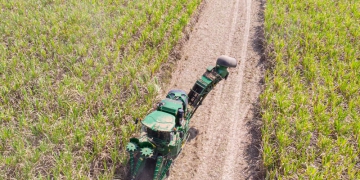 Cana-de-açúcar no Centro-Sul: produção mantém trajetória de crescimento