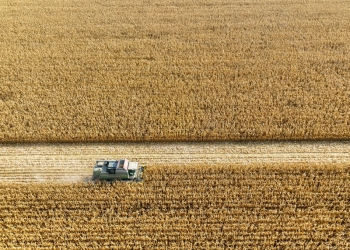 Colheita da safrinha: confira dicas para melhorar a produtividade