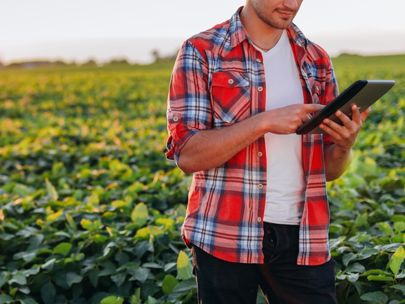 Tecnologias digitais impulsionam a fertilidade do solo e a produtividade agrícola