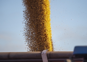Exportações do agronegócio atingem novo recorde no mês de maio e no acumulado do ano