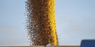 Exportações do agronegócio atingem novo recorde no mês de maio e no acumulado do ano