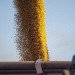 Exportações do agronegócio atingem novo recorde no mês de maio e no acumulado do ano