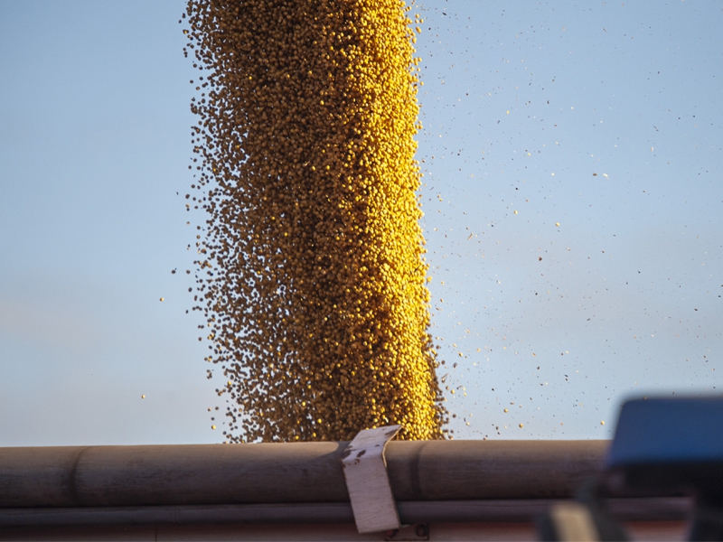 Exportações do agronegócio atingem novo recorde no mês de maio e no acumulado do ano