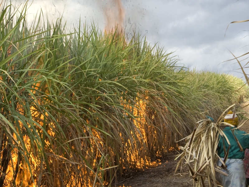Prevenção aos incêndios em canaviais