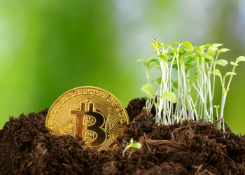 Agrotoken e Cibra anunciam parceria