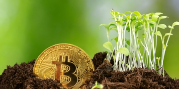 Agrotoken e Cibra anunciam parceria