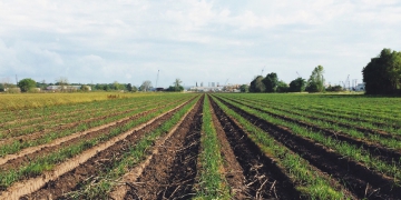Biogás oriundo da cana ganha escala no Brasil