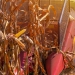 Levantamento da DATAGRO confirma recorde de cereais e oleaginosas no Brasil em 2023