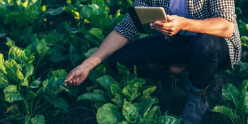 Uso da geotecnologia na agricultura gera dados cada vez mais precisos