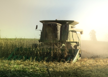 Colheita de milho: todo cuidado é pouco para prevenir incêndios durante a operação