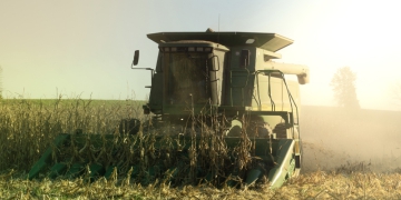 Colheita de milho: todo cuidado é pouco para prevenir incêndios durante a operação