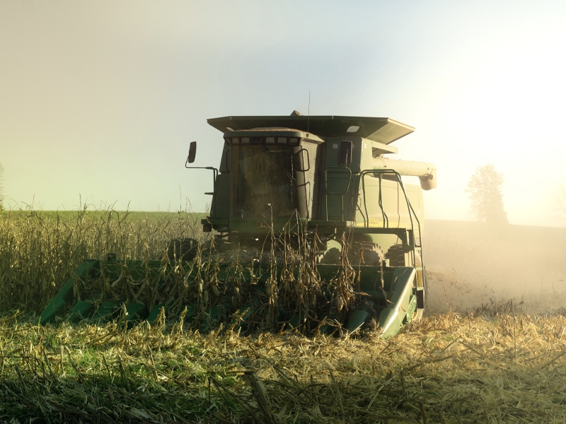 Colheita de milho: todo cuidado é pouco para prevenir incêndios durante a operação