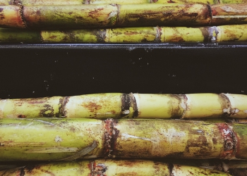 Moagem cresce 4% e totaliza 40,3 milhões de toneladas