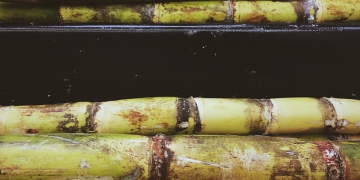 Moagem cresce 4% e totaliza 40,3 milhões de toneladas