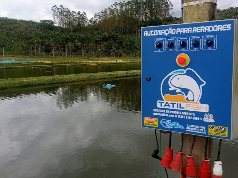 Agência ALESC  Cultivo de peixes pode dar lucro de R$ 1 por kg produzido