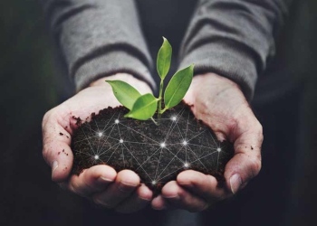 Plano-de-Transição-Ecológica