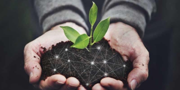 Plano-de-Transição-Ecológica