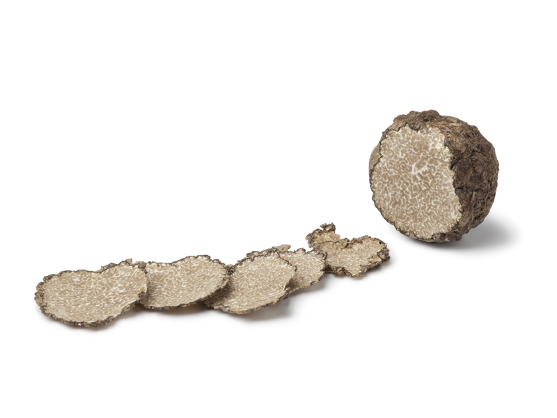 Trufa inédita no Brasil tem quilo vendido por R$ 8 mil