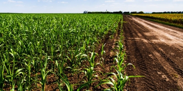 Produção agrícola no Acre