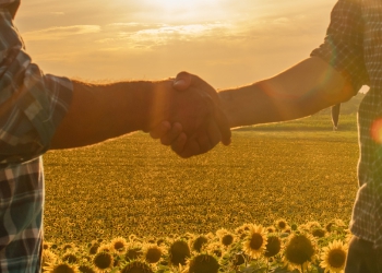 Há empregos sobrando no agronegócio; veja algumas profissões em destaque