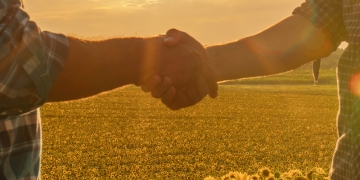 Há empregos sobrando no agronegócio; veja algumas profissões em destaque